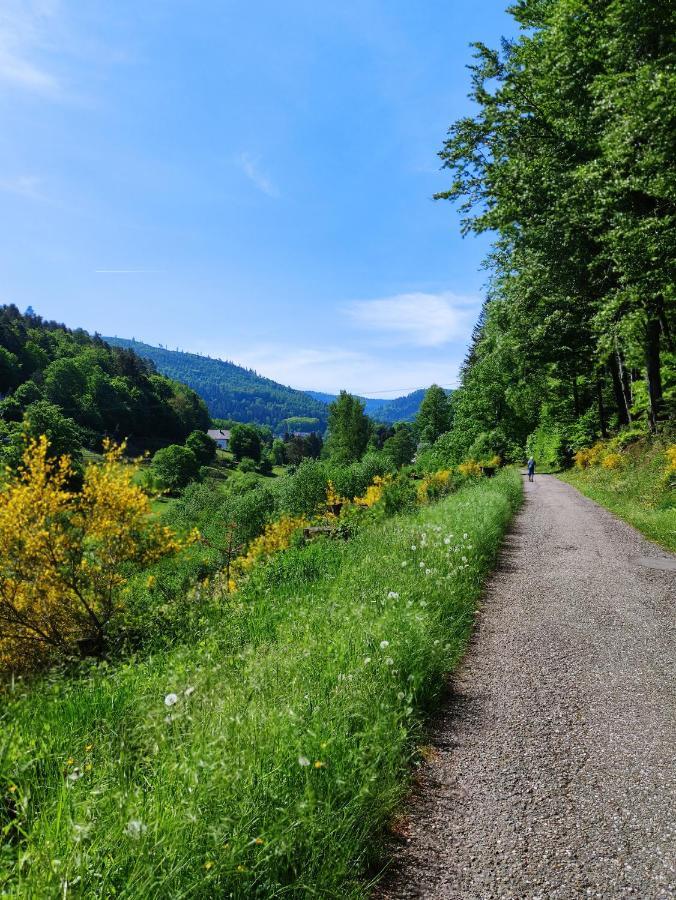 Fewo Albtaleck - Wohnen Im Kurort Waldbronn Luaran gambar